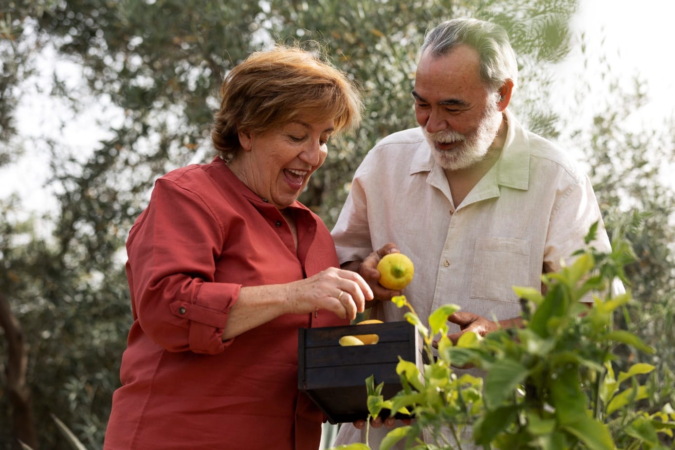 Les bienfaits du jardinage pour les retraités